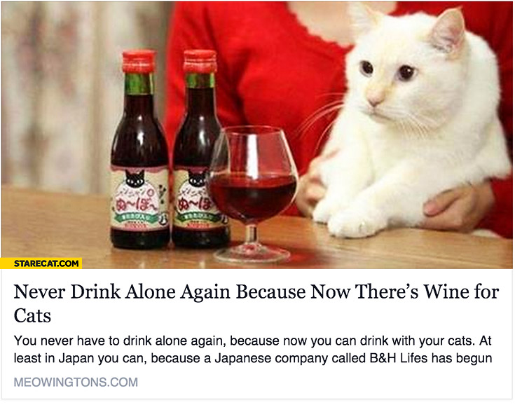 never-drink-alone-again-now-theres-wine-for-cats