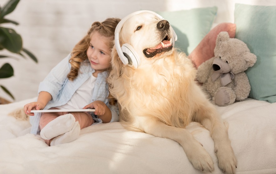 Spotify Pet Playlists