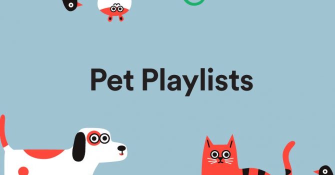 Spotify zagra ulubione utwory Waszych zwierząt. Sprawdźcie najnowsze playlisty