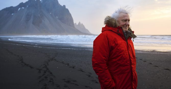 David Attenborough zapowiada nową serię przyrodniczą “A Perfect Planet”