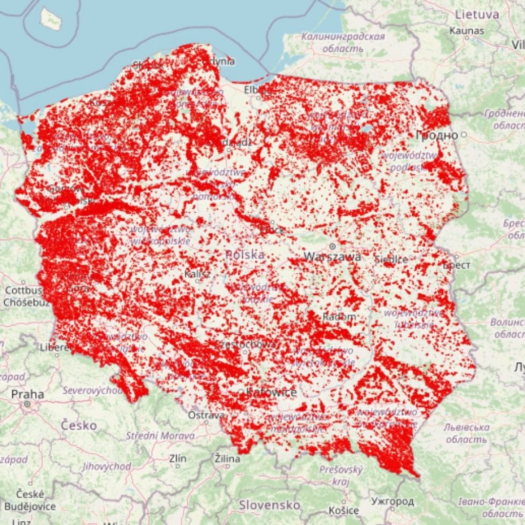 Lasy i Obywatele przeciwko wycince drzew w Polsce