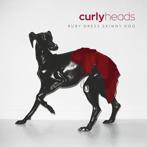 Curly Heads nowy album Dawid Podsiadło
