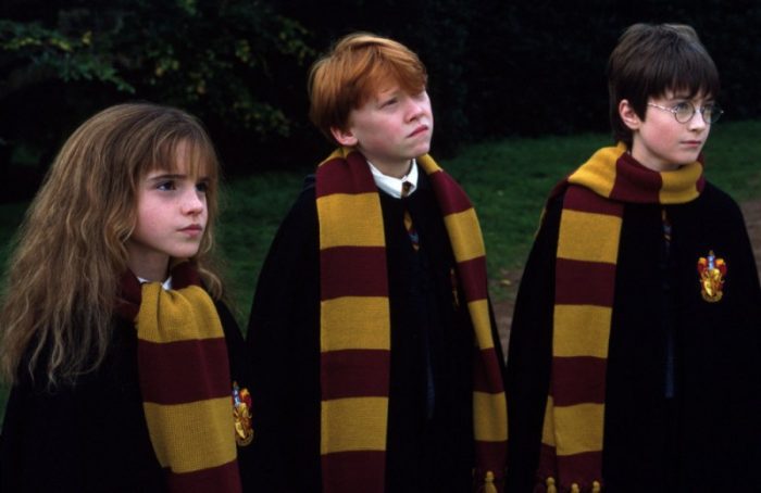 Harry Potter rocznica program