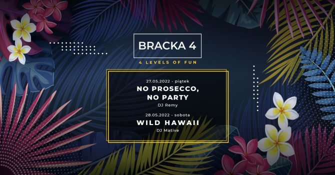 4 levels of fun Bracka 4