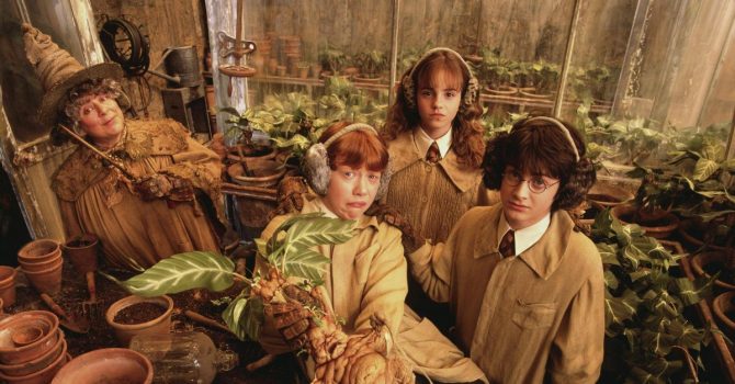 Harry Potter i… lekcja zielarstwa? Warner Bros. Studio oferuje nowe atrakcje