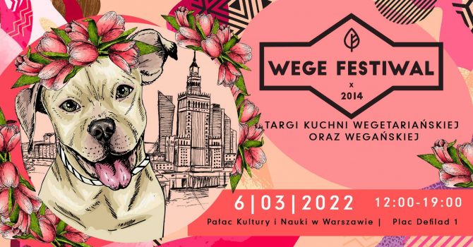 Wege Festiwal Warszawa // Pałac Kultury i Nauki