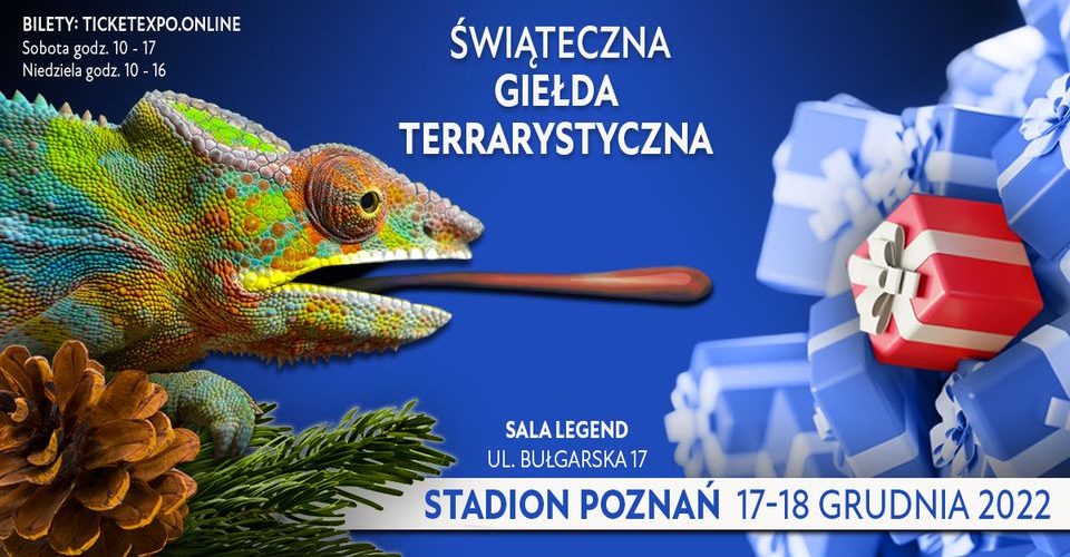 Świąteczna Giełda Terrarystyczna / STADION POZNAŃ