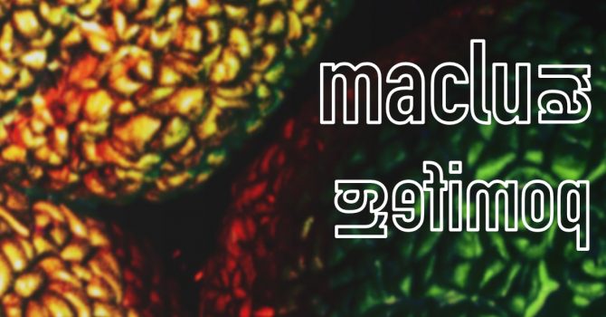 maclura pomifera: wgryź się w proces kreacji