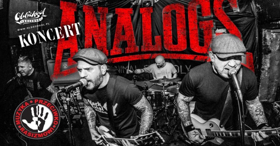 Warszawa: The Analogs - VooDoo Club