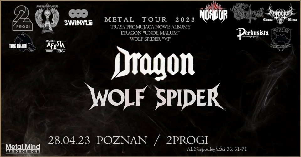 DRAGON / WILCZY PAJĄK / 2PROGI POZNAŃ