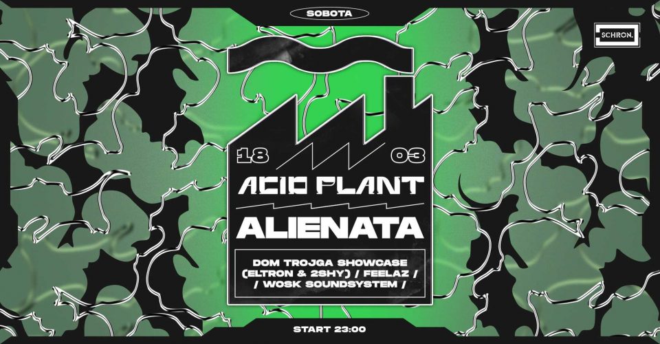 Acid Plant: ALIENATA