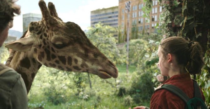 Myśleliście, że żyrafę w ostatnim odcinku „The Last of Us” wygenerował komputer? My też