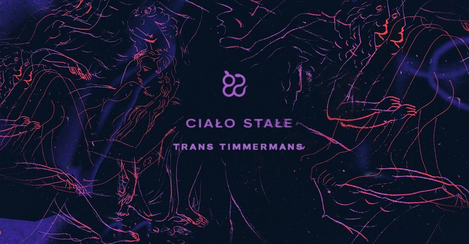 Ciało stałe: Trans Timmermans