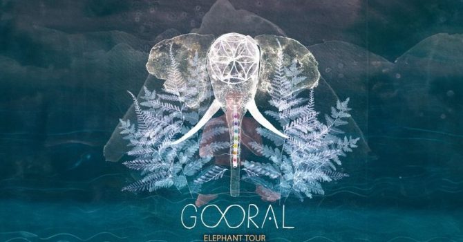 gooral