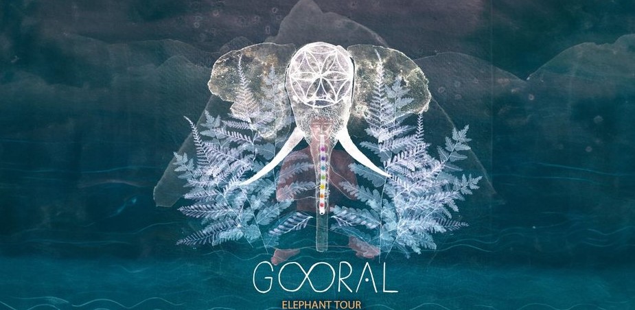 gooral