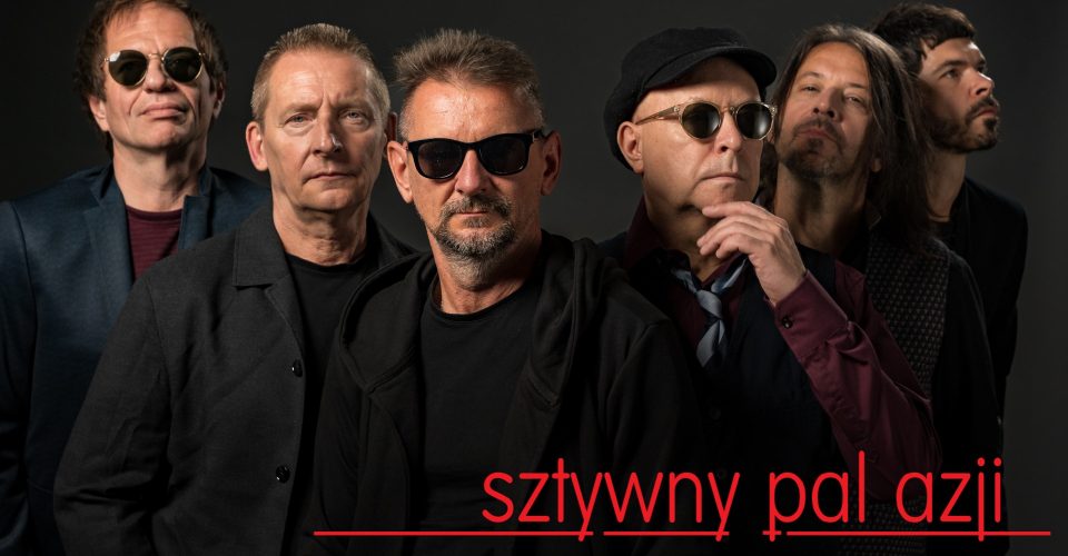 Sztywny Pal Azji | Toruń