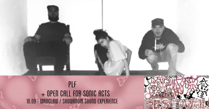 PLF (AU/UK) / Open call for sonic acts | Avant Art Festival 2025 WROCŁAW