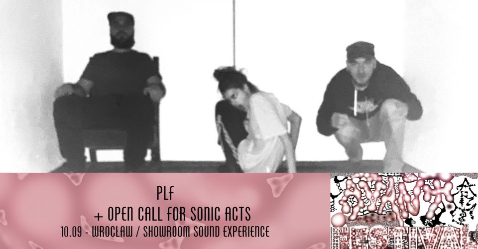 PLF (AU/UK) / Open call for sonic acts | Avant Art Festival 2025 WROCŁAW