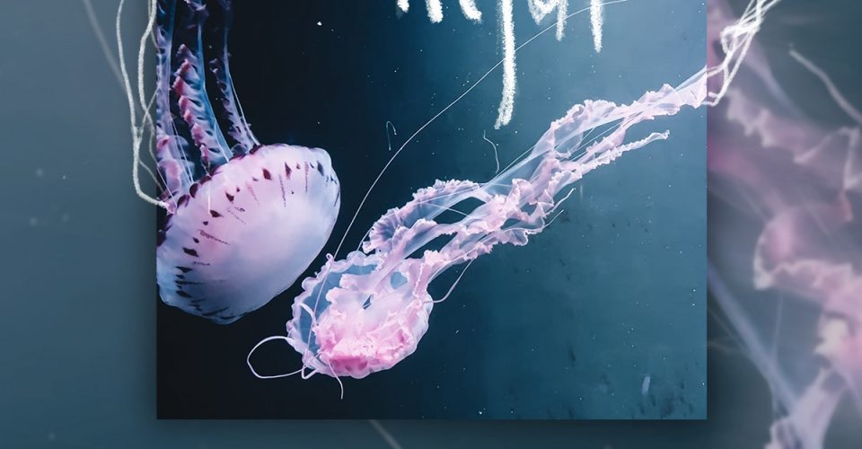 Mjut | Elbląg | 14.11 | Mjazzga