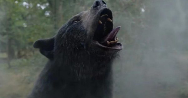 Morderczy niedźwiedź na koksie. Horror „Kokainowy miś” podbije internet?