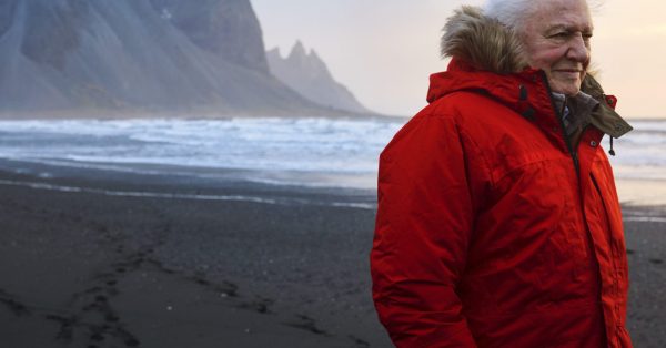 David Attenborough zapowiada nową serię przyrodniczą “A Perfect Planet”
