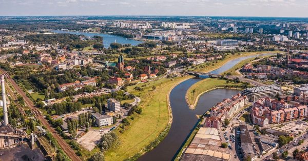 Poznań – miasto posadzi drzewa na osiedlu z najwyższą frekwencją