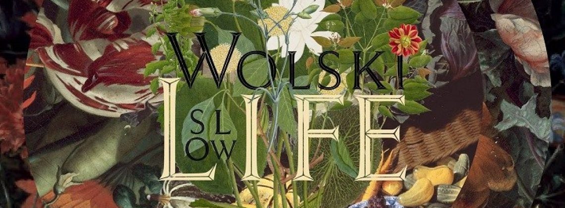 Chcesz kreatywnie i muzycznie zakończyć sezon letni? Wybierz się na Wolski Slow Life!